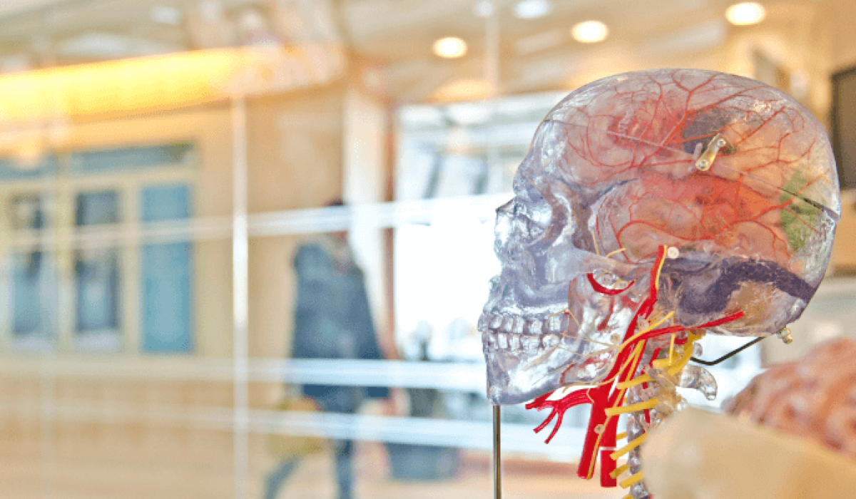 3-Psychological-Traits-Effective-Leaders-Know-How-To-Manage